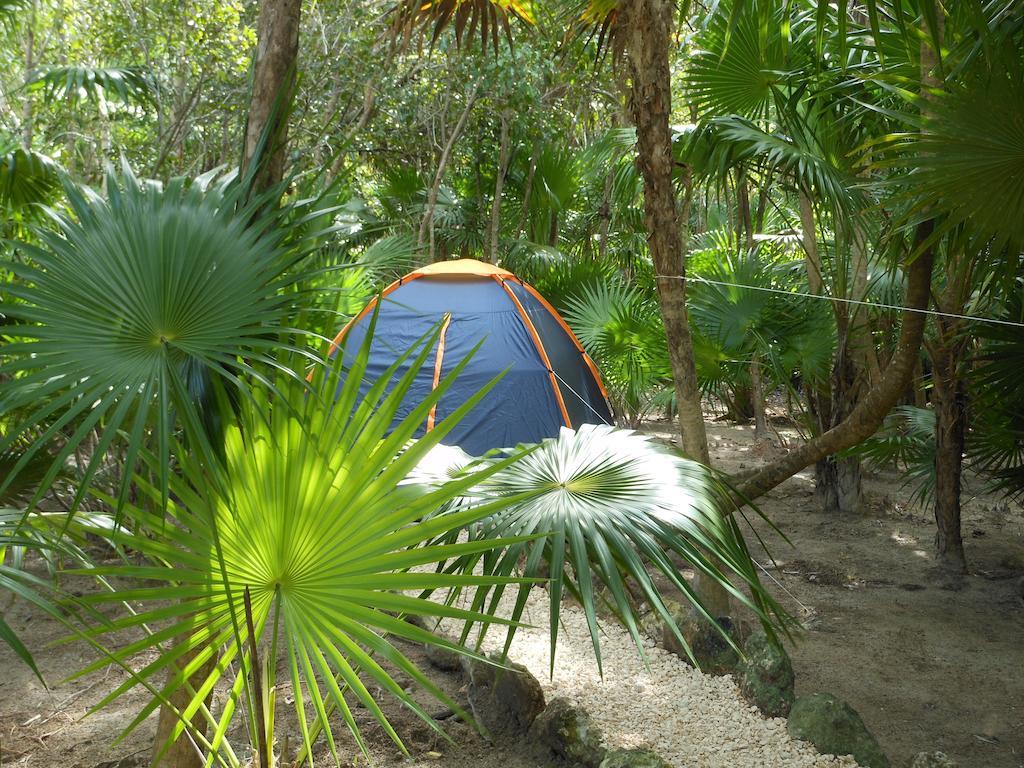 Turquesa Tulum Jungle Camping Hotel Eksteriør billede